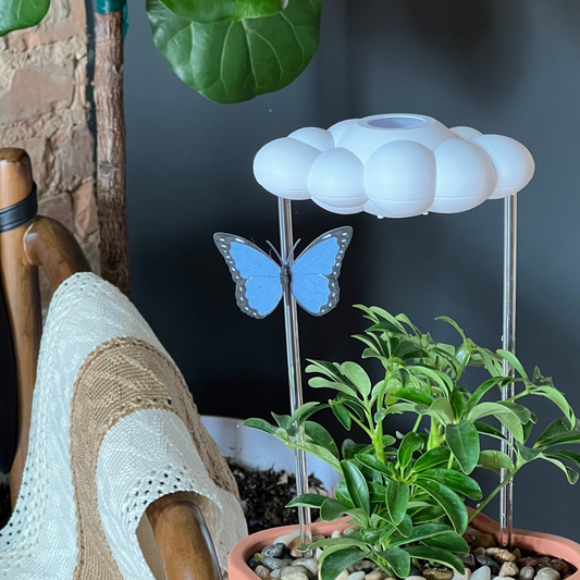 Original Dripping Rain Cloud with Blue Butterfly Charm - Tampa Home & Garden Store
