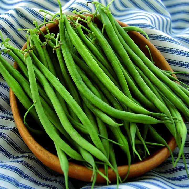 Fin De Bagnol bush bean seeds, long green bean pods in a brown bowl on Tampa Home & Garden Store
