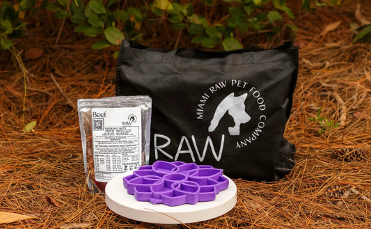 Raw PMR Beef Meal Blend for Cats & Dogs two-item set: black Raw Instincts bag and silver pouch on Tampa Home & Garden Store