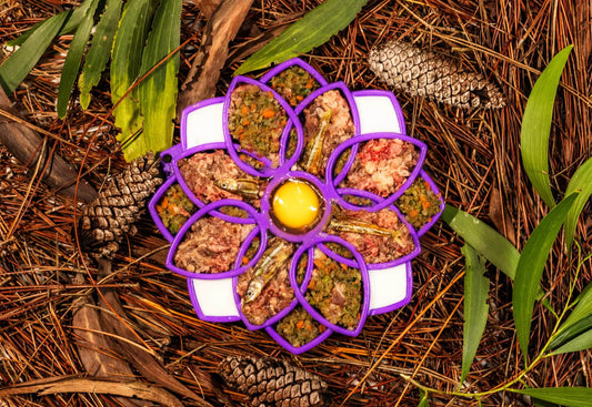 Raw PMR Beef Meal Blend for Cats and Dogs in purple flower tray with meat and greens on Tampa Home & Garden Store