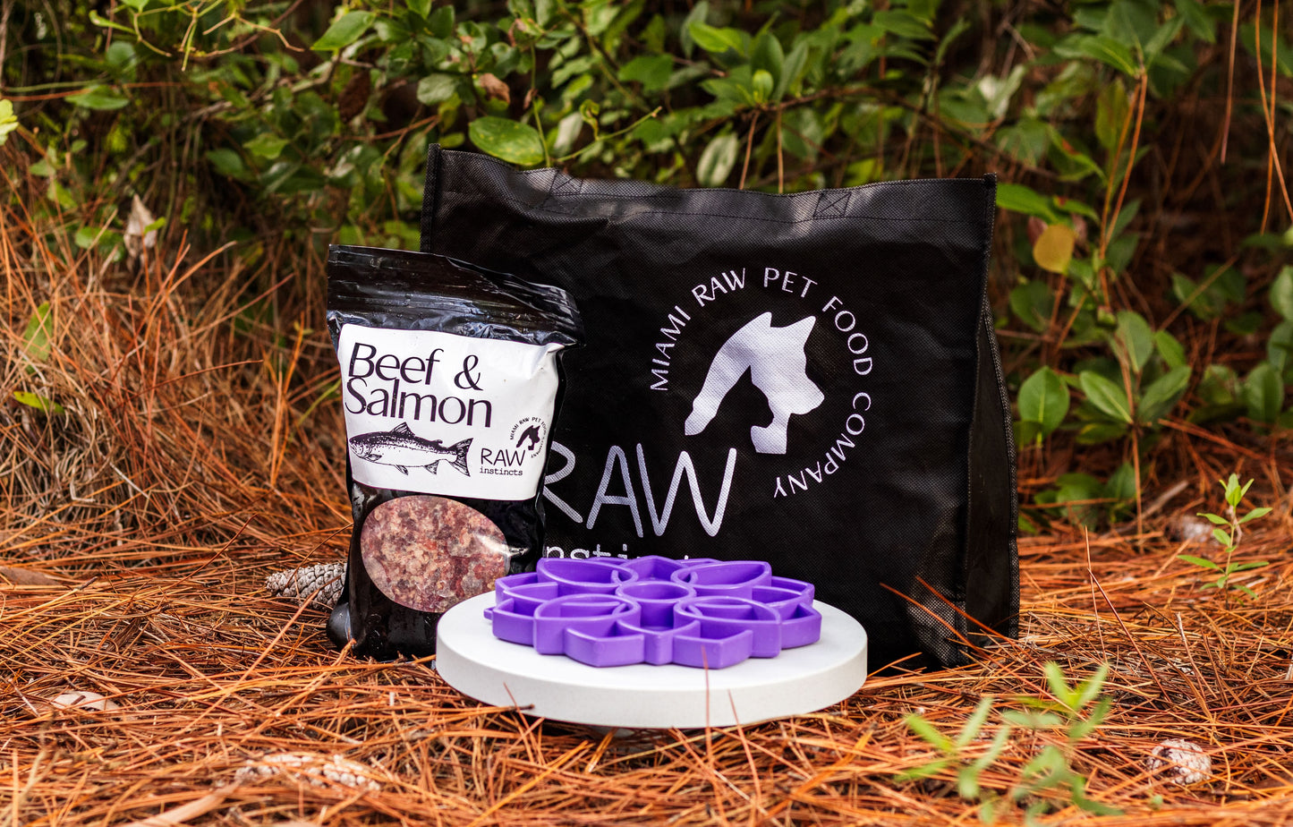 Mezcla de carne de res cruda y salmón silvestre para gatos y perros — Prey Model Raw | Raw Instincts Florida