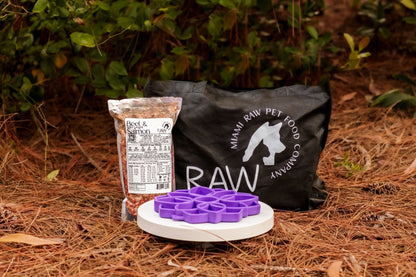 Mezcla de carne de res cruda y salmón silvestre para gatos y perros — Prey Model Raw | Raw Instincts Florida