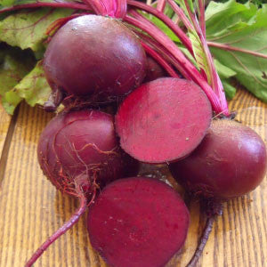 BEET Seeds, Detroit Dark Red - Tampa Home & Garden Store