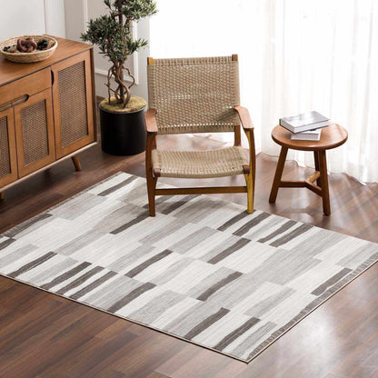 Bojana broken-striped area rug, neutral gray tones, Boutique Rugs clearance on Tampa Home & Garden Store