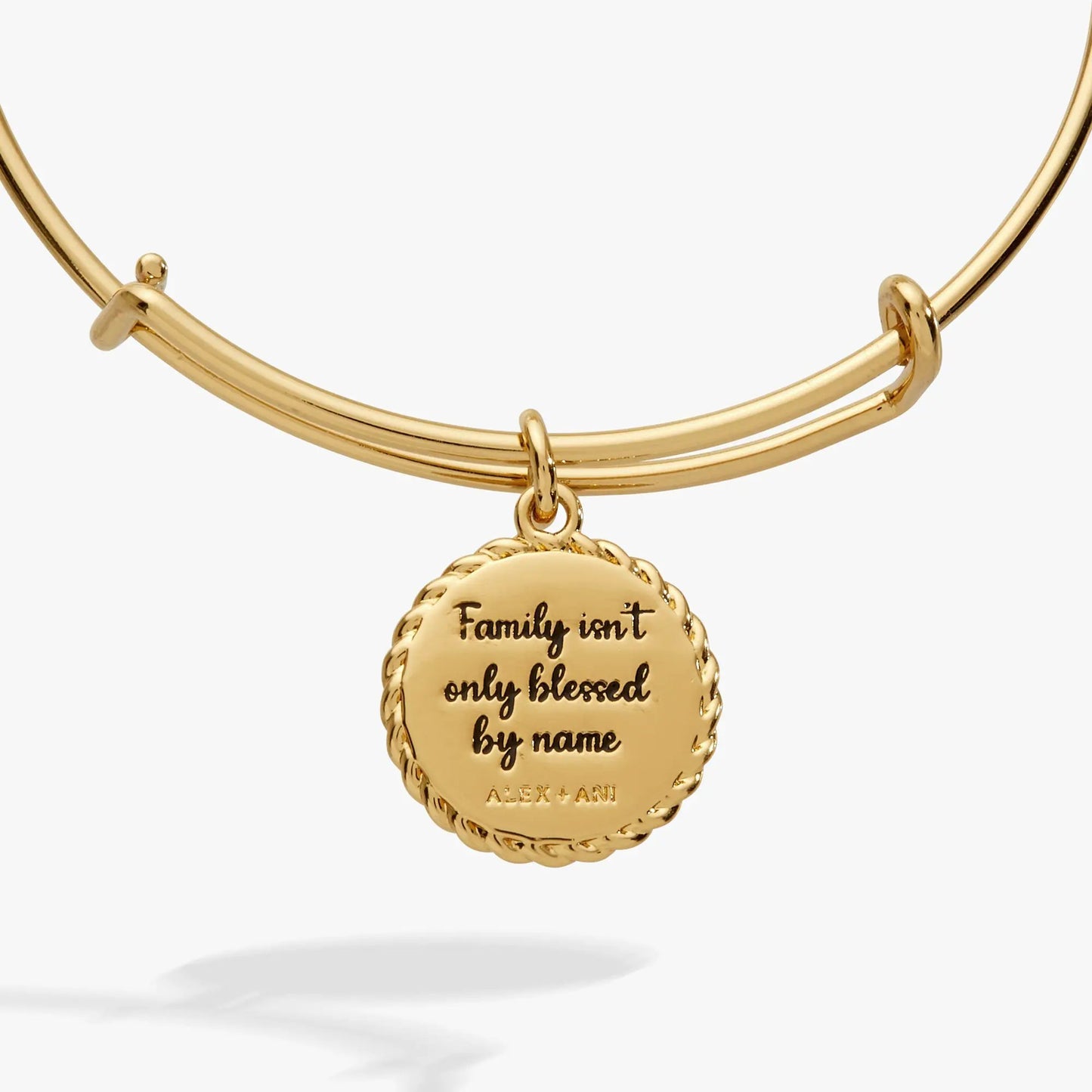 Gold-tone ALEX AND ANI Bonus Mom charm bracelet with pendant Family isn't blessed by name on Tampa Home & Garden Store