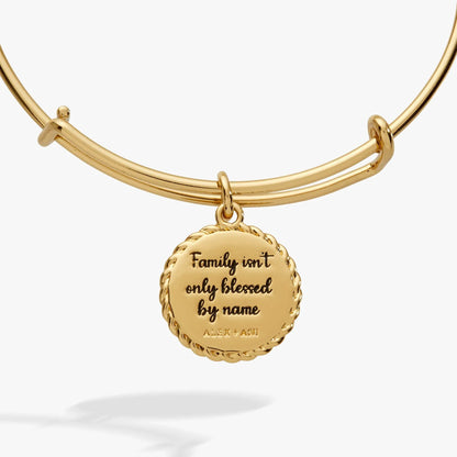 Gold-tone ALEX AND ANI Bonus Mom charm bracelet with pendant Family isn't blessed by name on Tampa Home & Garden Store