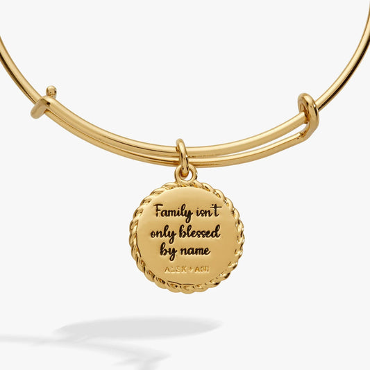 Gold-tone ALEX AND ANI Bonus Mom charm bracelet with pendant Family isn't blessed by name on Tampa Home & Garden Store