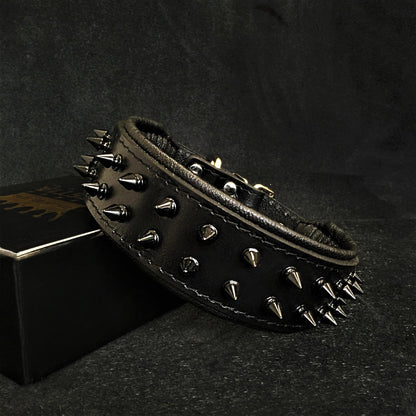 BLACK "Frenchie" collar - Tampa Home & Garden Store