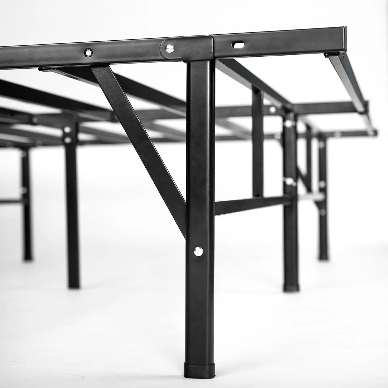 - image on Tampa Home & Garden Store