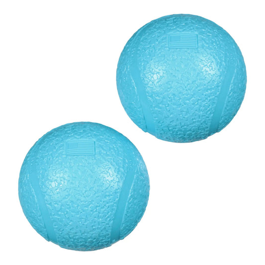 Boundr Dog Ball 2 Pack Aqua For Fetch and Chew