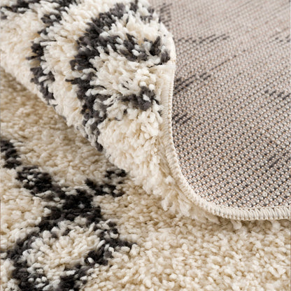 Emlenton Berber Shag rug with tassels in cream beige charcoal; plush pile close-up on Tampa Home & Garden Store