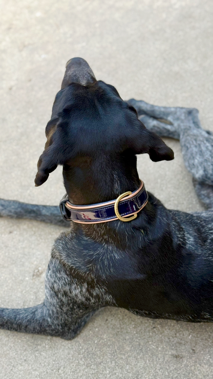 Revolution Patent Blue Leather Dog Collar by Halter Ego® on Tampa Home & Garden Store
