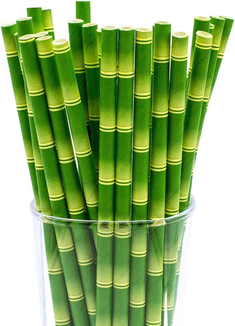 Bamboo Print Biodegradable Drinking Paper Straws for Party Box of 100 - Tampa Home & Garden Store