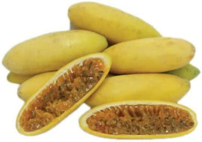Banana Passion Fruit - 30 Seeds - Passion flower Maracuja, Banana Poka - Tampa Home & Garden Store