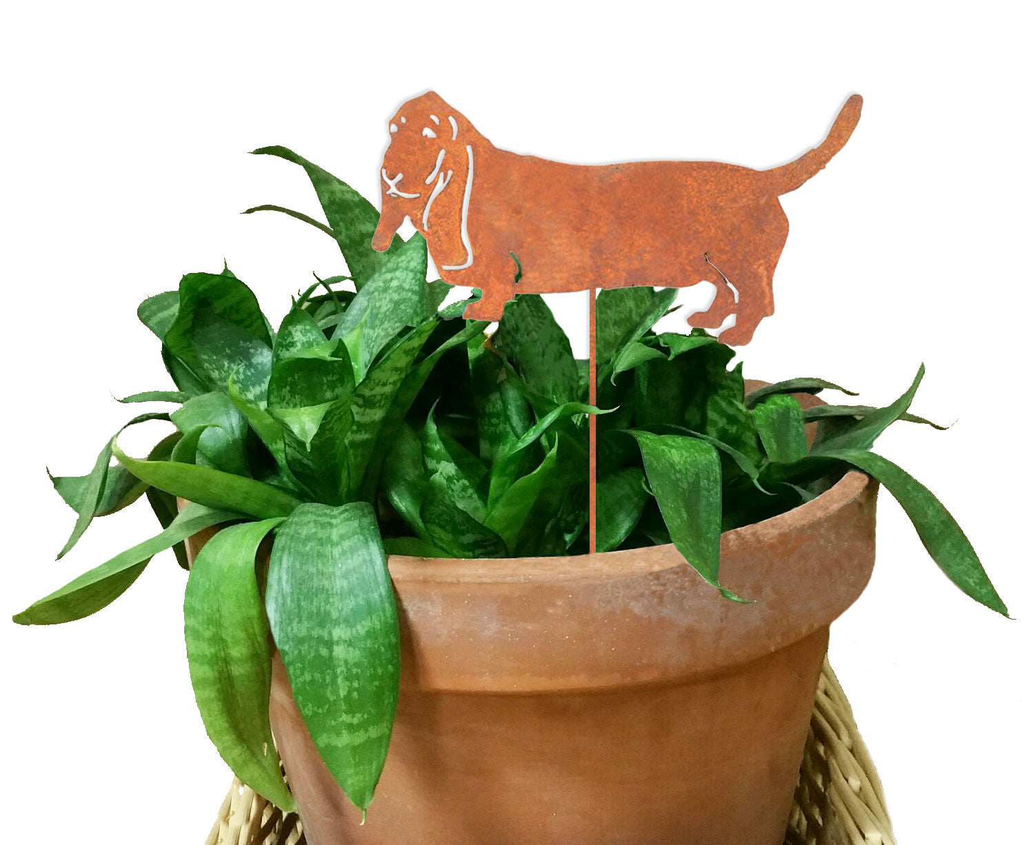 Basset Hound plant stake rust-colored metal silhouette in terracotta pot with green leaves on Tampa Home & Garden Store