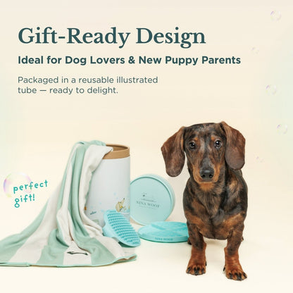 Bath Kit for Dogs – Grooming Set - Tampa Home & Garden Store