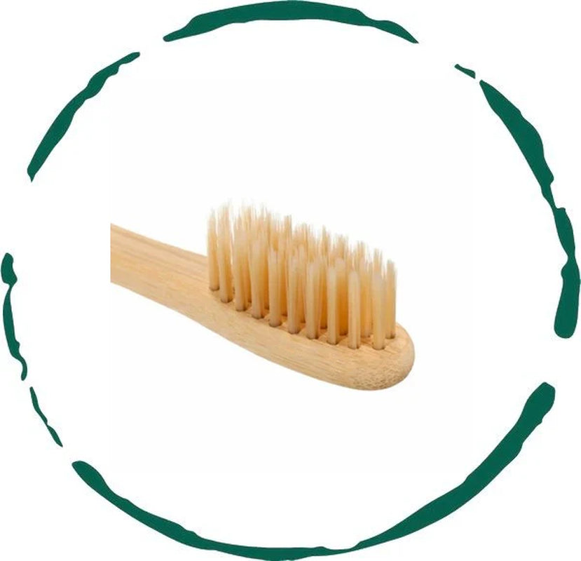 BeNat Eco-Friendly Bamboo Toothbrush - Tampa Home & Garden Store