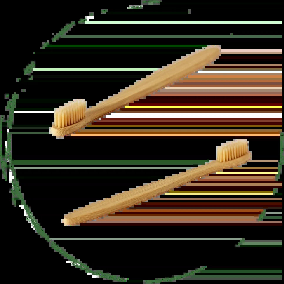 BeNat Eco-Friendly Bamboo Toothbrush - Tampa Home & Garden Store