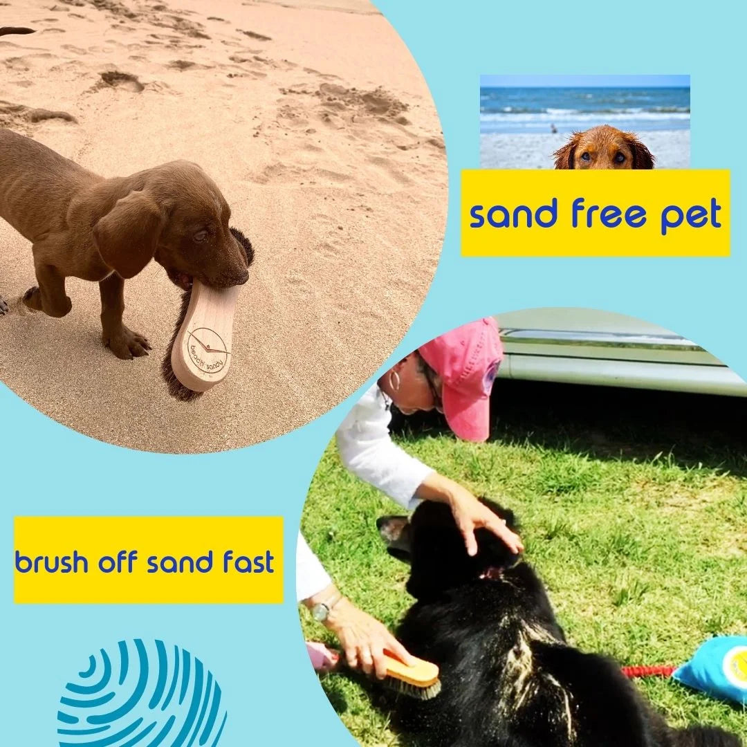 Beach Sandy Brush Kit – Eco-Friendly Sand Remover with Beech Wood Brushes & Microfiber Towel Bag – Portable Beach Accessory for Feet, Gear, & Pets - Tampa Home & Garden Store