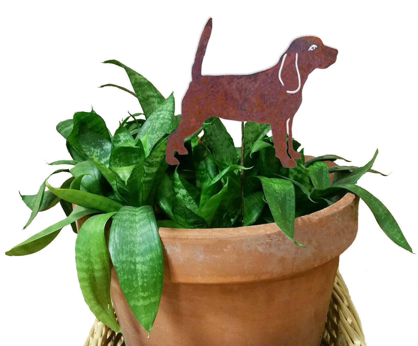Beagle standing plant stake rusted metal finish in terracotta pot by Rustica Ornamentals on Tampa Home & Garden Store