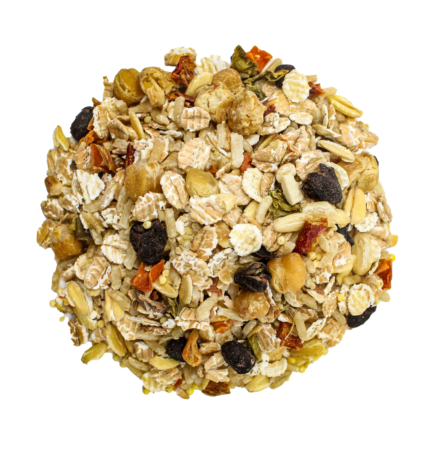 Bean Bistro Feast on the Fly - Tampa Home & Garden Store