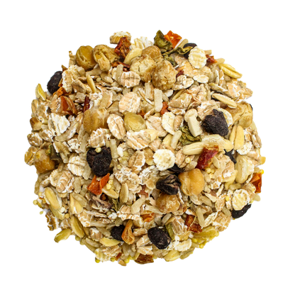 Bean Bistro Feast on the Fly - Tampa Home & Garden Store