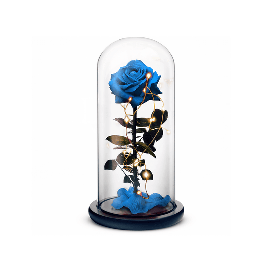 Beauty and The Beast Rose (Blue) - Tampa Home & Garden Store