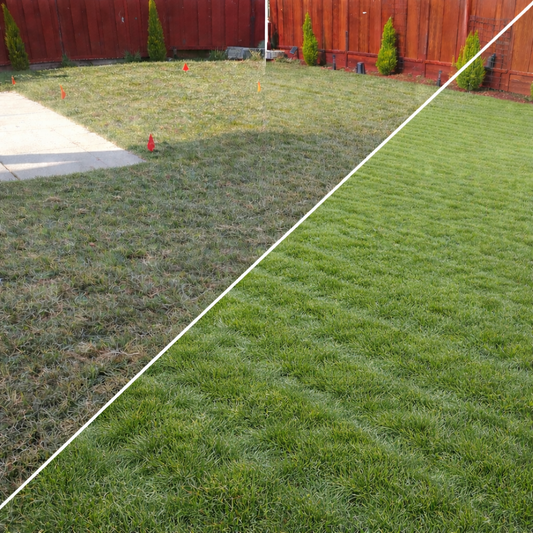 Total Lawn Liquid Fish Starter Fertilizer