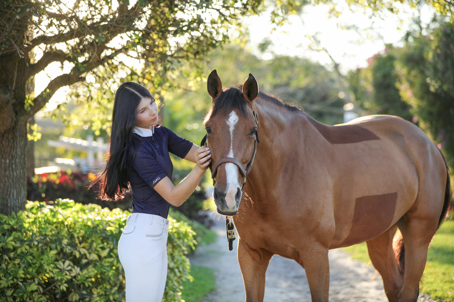Stylish Olivia Show Shirt With a Lace Trim