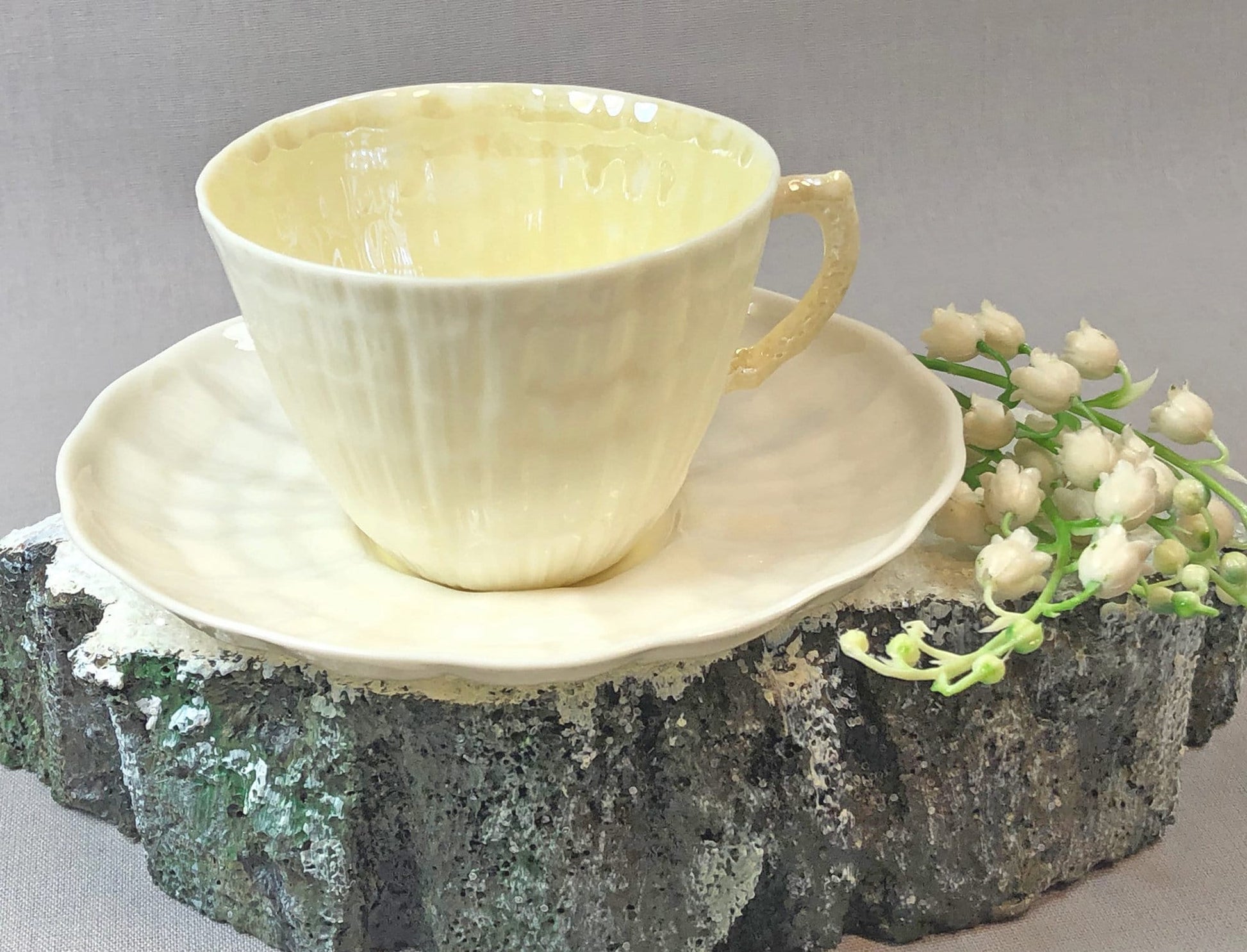 Belleek Cup and Saucer.  Sea Shell Pattern Tea Set Made of Dainty Porcelain in Ireland.  Antique Reg 0857. - Tampa Home & Garden Store