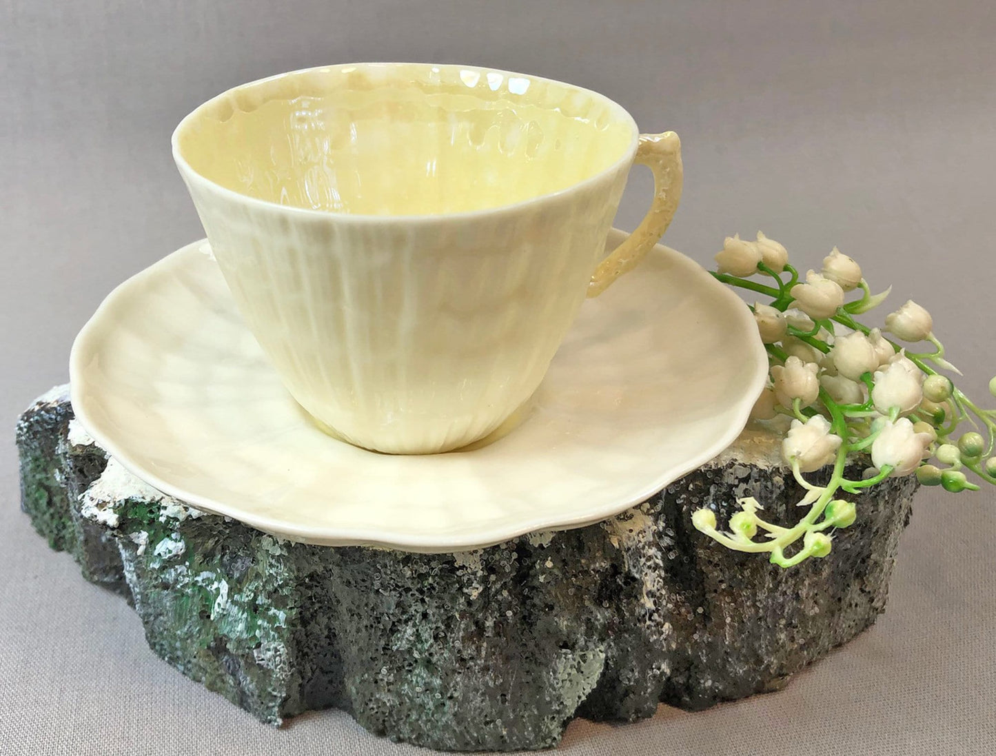 Belleek Cup and Saucer.  Sea Shell Pattern Tea Set Made of Dainty Porcelain in Ireland.  Antique Reg 0857. - Tampa Home & Garden Store