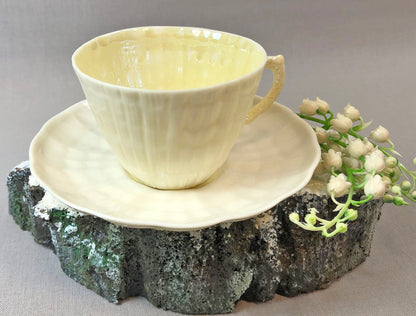Belleek Cup and Saucer.  Sea Shell Pattern Tea Set Made of Dainty Porcelain in Ireland.  Antique Reg 0857. - Tampa Home & Garden Store