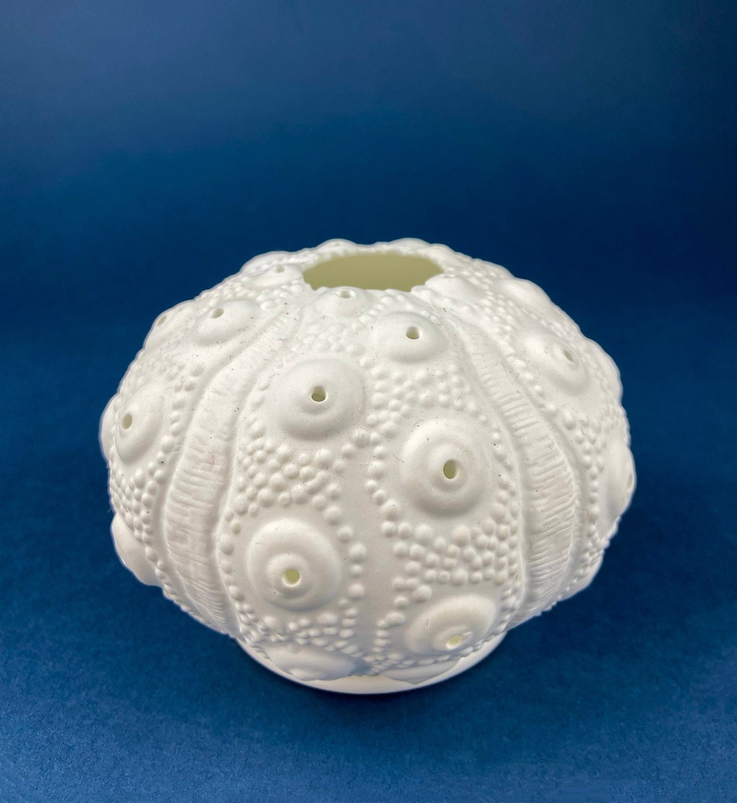 Belleek Cup and Saucer.  Sea Shell Pattern Tea Set Made of Dainty Porcelain in Ireland.  Antique Reg 0857. - Tampa Home & Garden Store