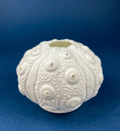 Belleek Cup and Saucer.  Sea Shell Pattern Tea Set Made of Dainty Porcelain in Ireland.  Antique Reg 0857. - Tampa Home & Garden Store