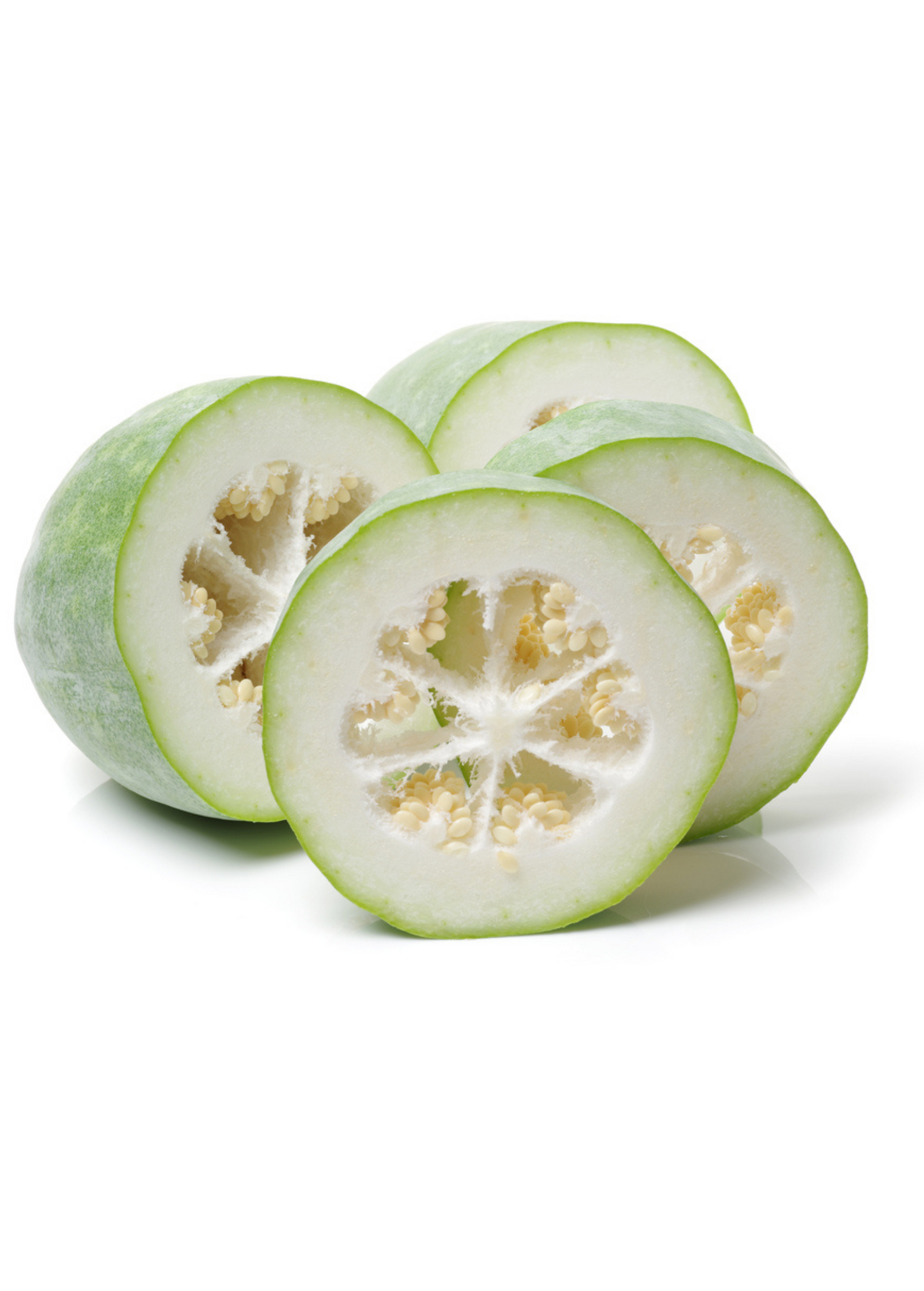 Winter Melon Plant (Benincasa Hispida)