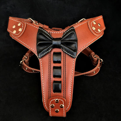 Bestia ''Bowtie'' leather harness - Tampa Home & Garden Store