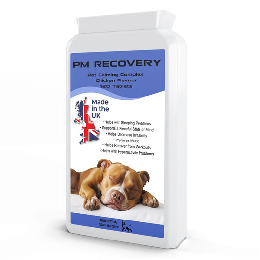Bestia Dog Sport PM Recovery - Tampa Home & Garden Store