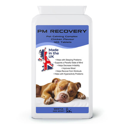 Bestia Dog Sport PM Recovery - Tampa Home & Garden Store