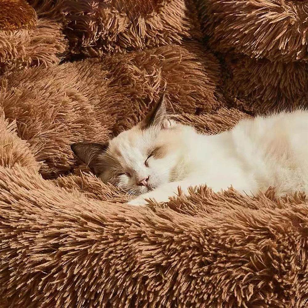 Big Paw Plush Pet Sofa Bed – Washable Dog & Cat Bed with Calming Raised Edges (Small to XL) - Tampa Home & Garden Store