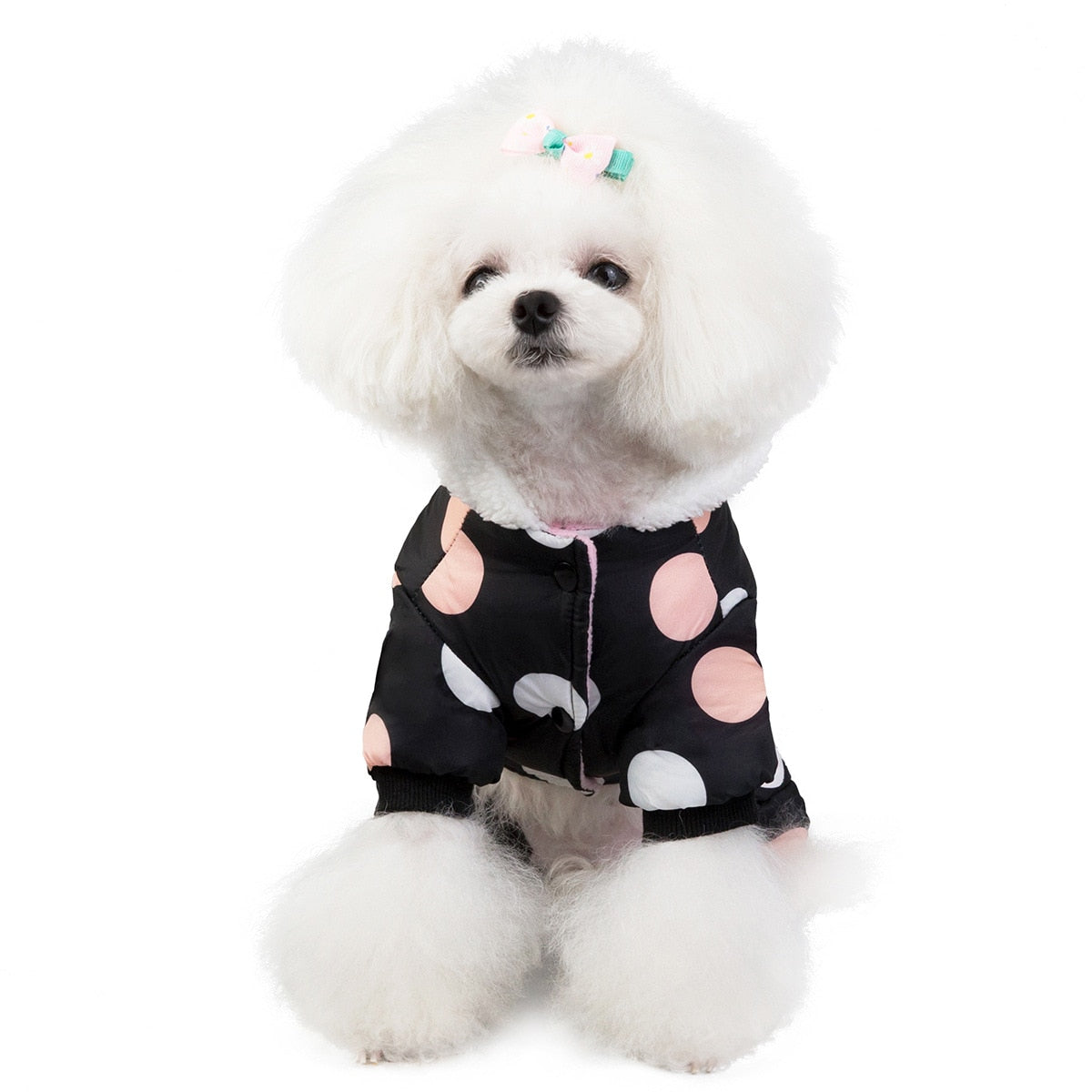 Big Polka Dot Snowsuit Jumpsuit - Tampa Home & Garden Store
