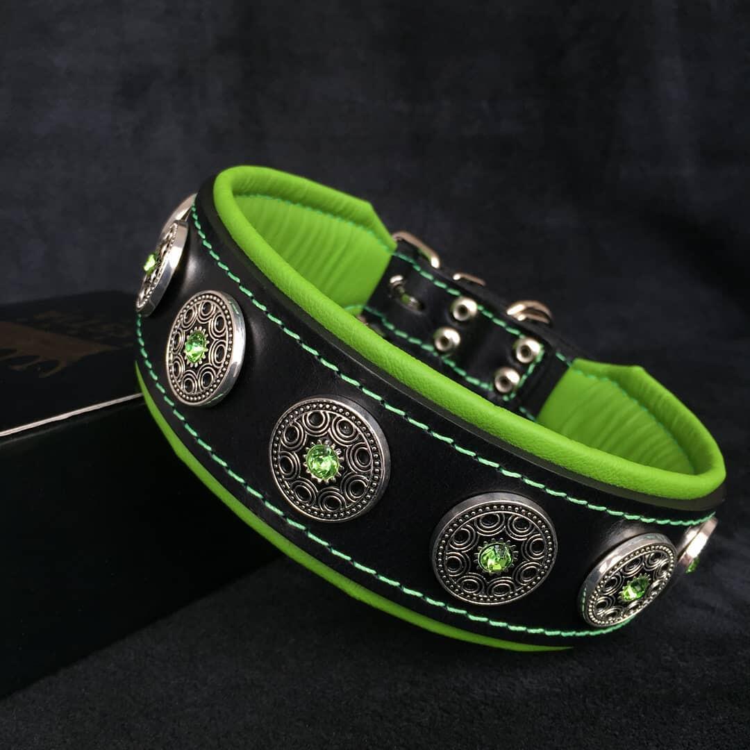 "Bijou" collar black & green - Tampa Home & Garden Store