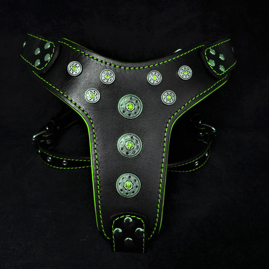 ''Bijou'' harness Black & Green for big dogs - Tampa Home & Garden Store
