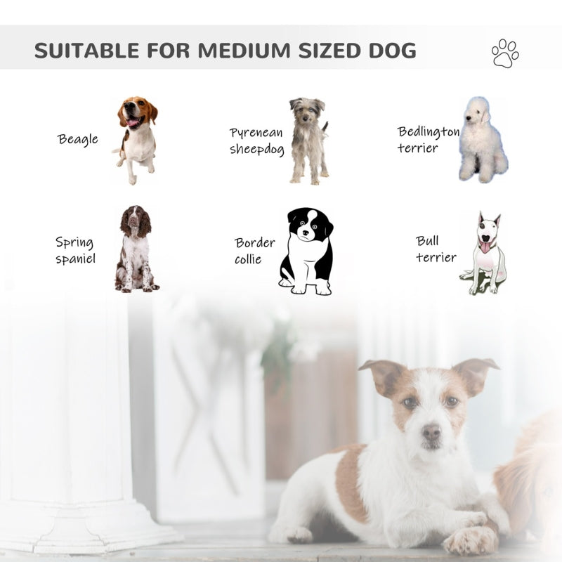 Bike Trailer Cargo Cart for Dogs and Pets - Tampa Home & Garden Store