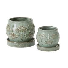 Biloba Pot 5" - Tampa Home & Garden Store