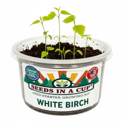 Birch Tree Grow Kit - Tampa Home & Garden Store