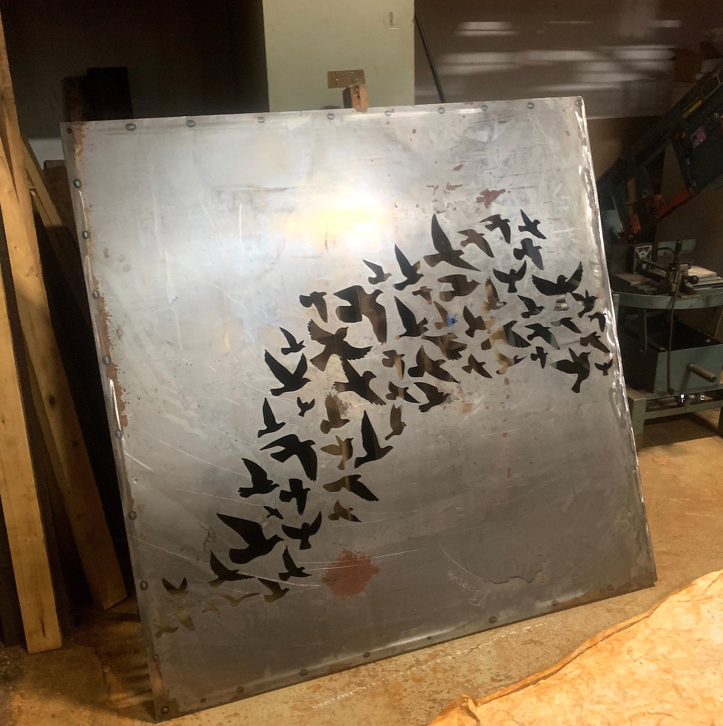 Outdoor metal privacy fence panel in steel with bird cutouts Rustica Ornamentals on Tampa Home & Garden Store