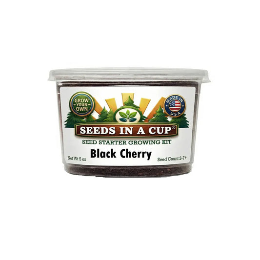 Black Cherry Tree Grow Kit - Tampa Home & Garden Store