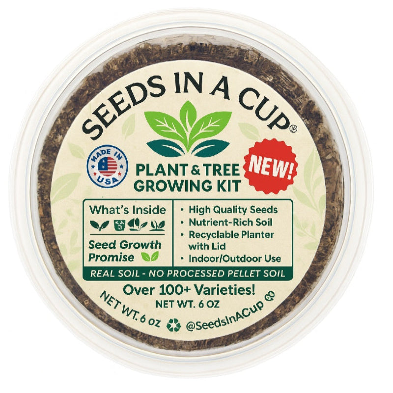 Black Cherry Tree Grow Kit - Tampa Home & Garden Store