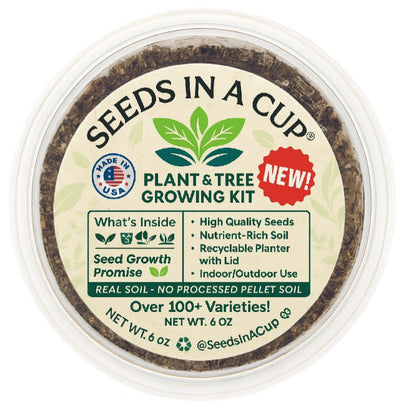 Black Cherry Tree Grow Kit - Tampa Home & Garden Store