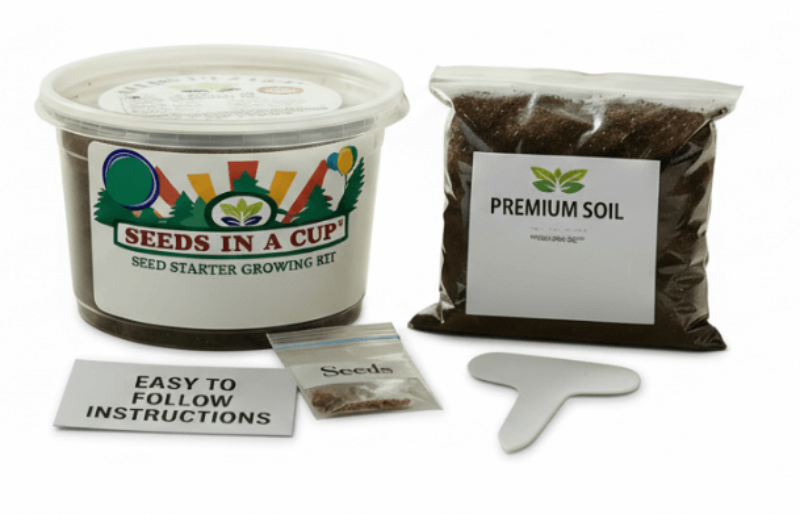 Black Cherry Tree Grow Kit